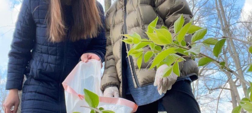 Ways To Teach Your Kids About the Environment