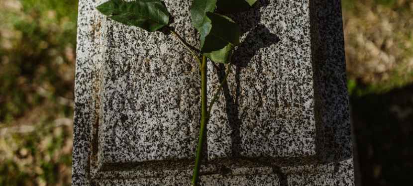 Simple Things To Say to Someone Who Lost a Loved One