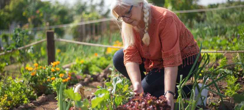 Natural Ways To Help Your Garden Grow Faster
