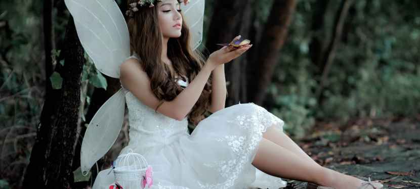 What will your Fairy Godmother be turning you into at midnight? New Year’s Eve Resolutions