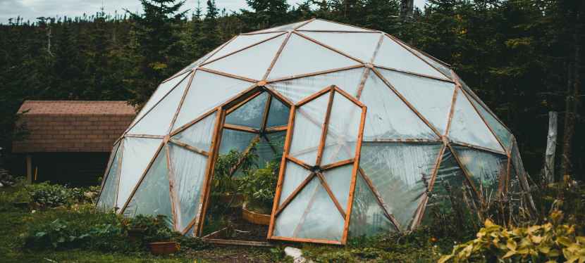 The Benefits of Installing a Greenhouse in Your Backyard