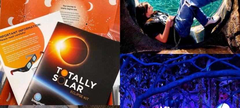 Fun Things to do with Kids Over Spring Break 2024 in Toledo