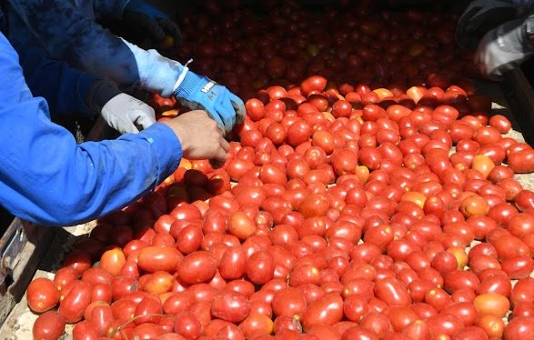 Fulton County Breakfast on the Farm to be held June&nbsp;24