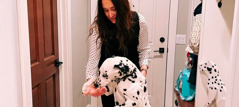 What You Should Know Before Adopting a Dalmatian