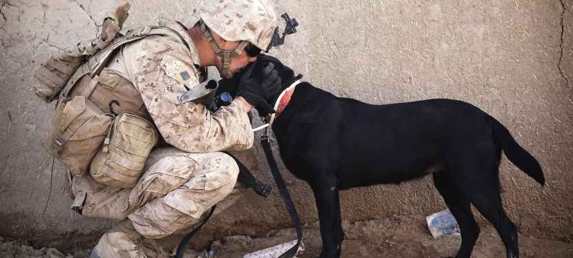 Perfect Tactical Gifts for the Military Veteran in Your Life