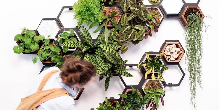 Creative Alternative Options for Planters