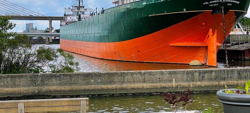 5 Reasons Why You Should Let Your Kids Go on Field Trips