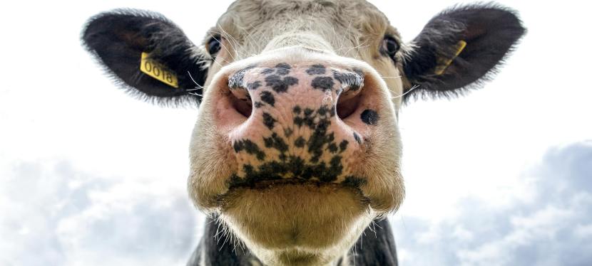 Sauder Village Celebrates Summer with Themed Weeks for All&nbsp;Ages