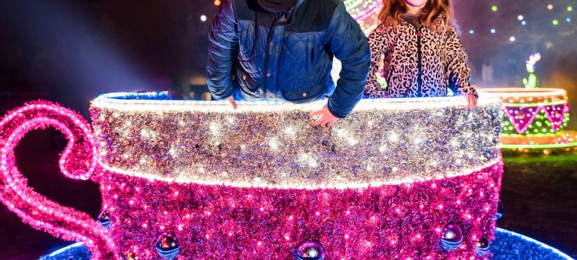 Garden of Lights Family 4 Pack Giveaway