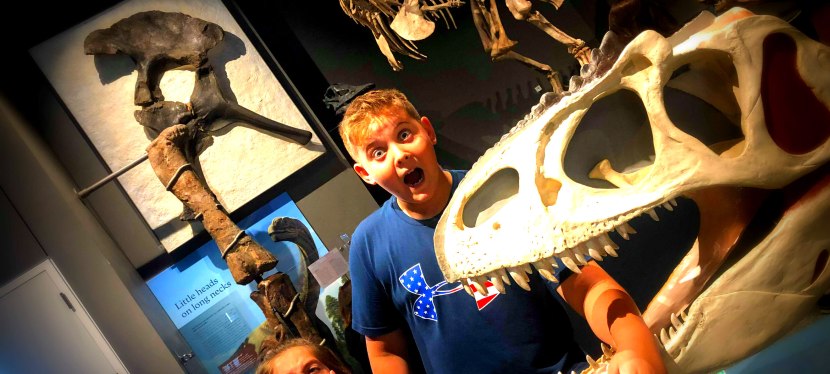 University of Michigan’s Museum of Natural History OPEN Daily &&nbsp;FREE!