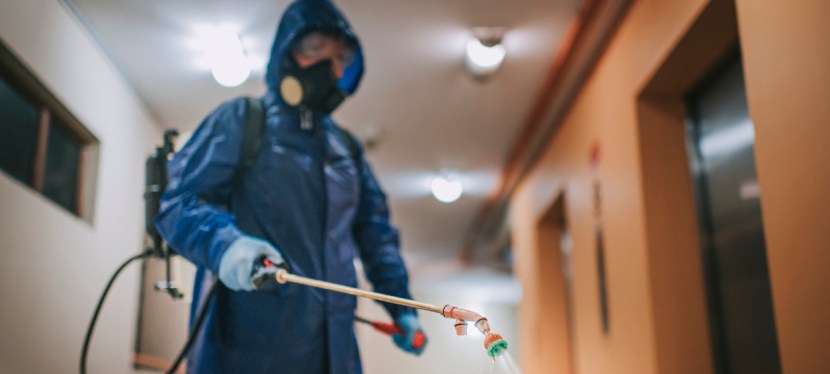 Why Hiring Professional Exterminators in Calgary Saves Time and Money