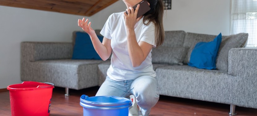 The Unexpected Side Effect of Poor Insulation