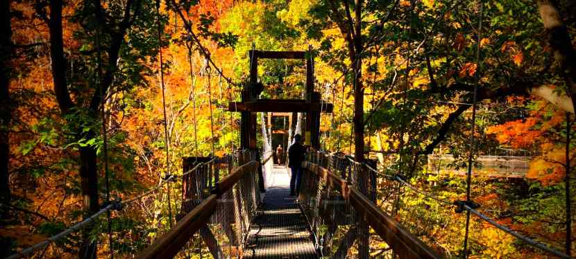 Fall Magic at Holden Arboretum: Why It’s the Perfect Autumn Outing for&nbsp;Everyone