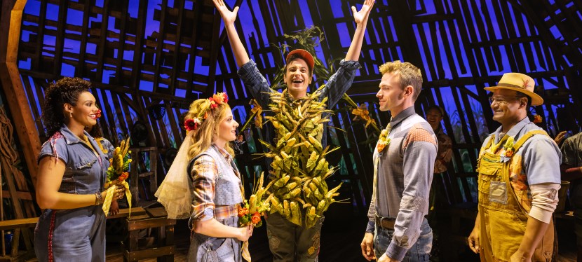 SHUCKED A New Musical&nbsp;Comedy!