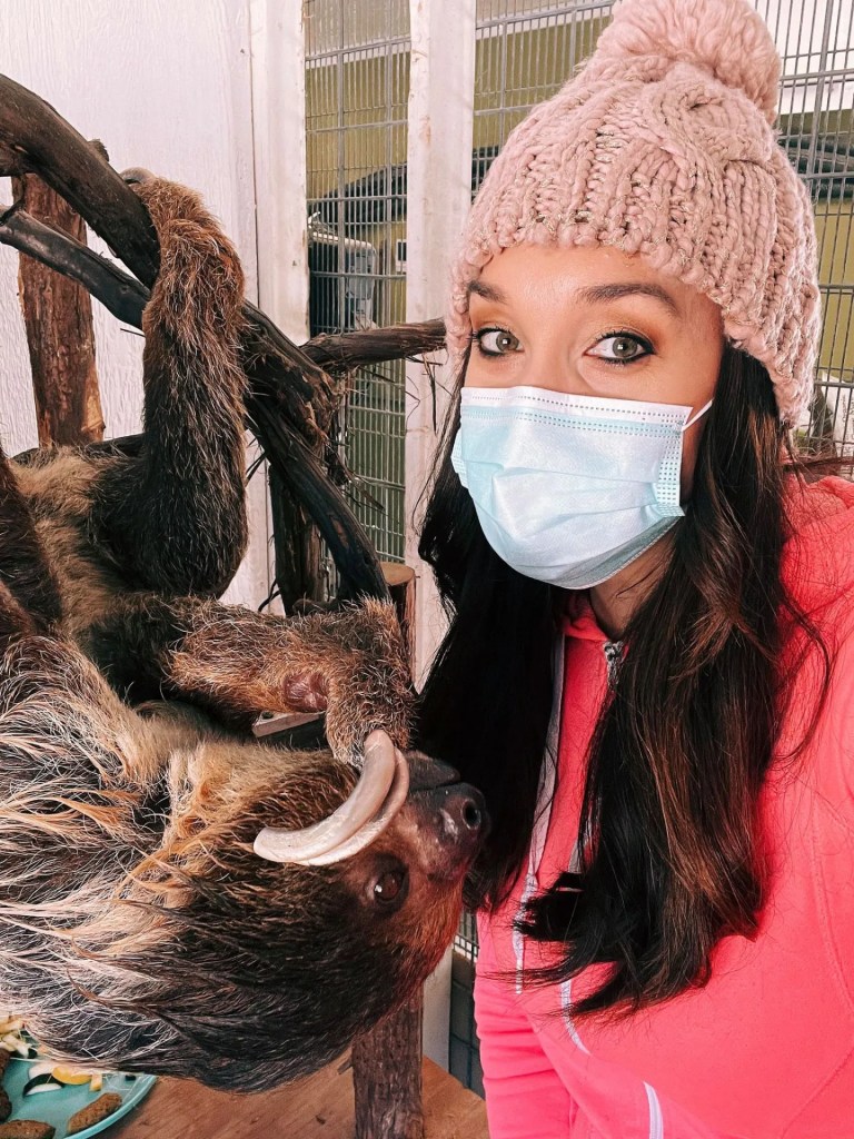 A woman wearing a pink knitted hat and a blue mask poses next to a sloth hanging on a branch.