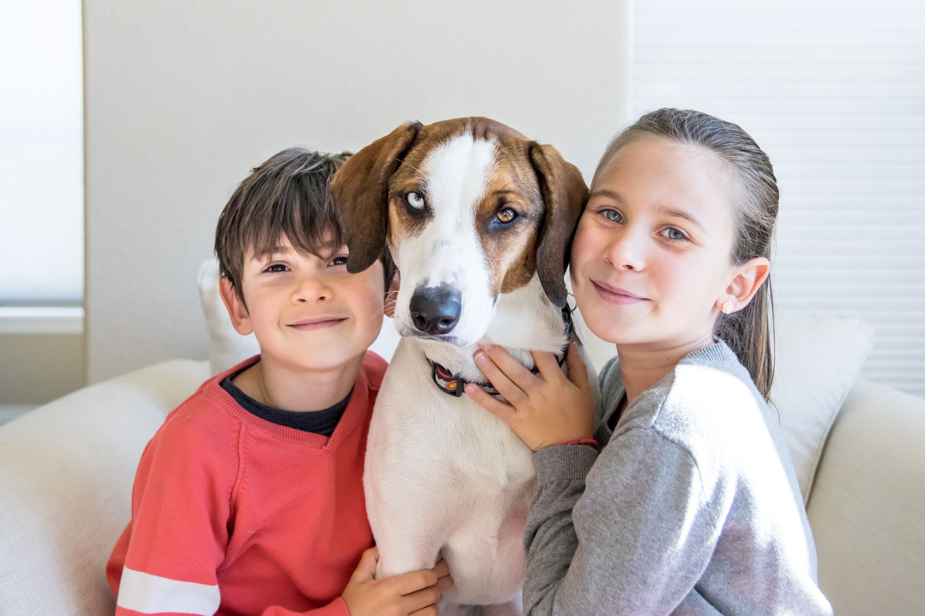 Two children, a boy and a girl, smiling while hugging a dog on a couch in a well-lit indoor setting.
