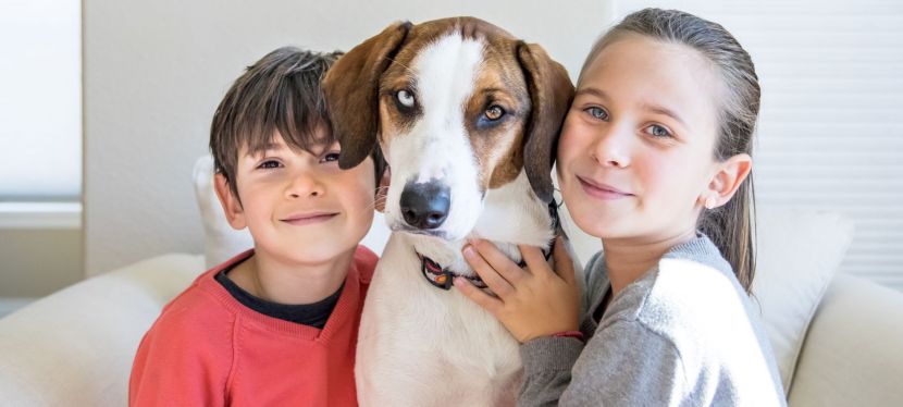 Fun Ways To Strengthen the Bond Between You and Your&nbsp;Dog
