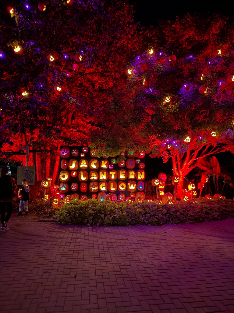 A vibrant display of decorated pumpkins illuminated at night, featuring the words 'JACK O' LANTERN GLOW' surrounded by colorful lights and autumn decorations.